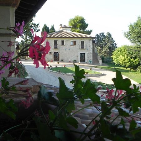 Tenuta Pizzogallo Amelia Exterior photo
