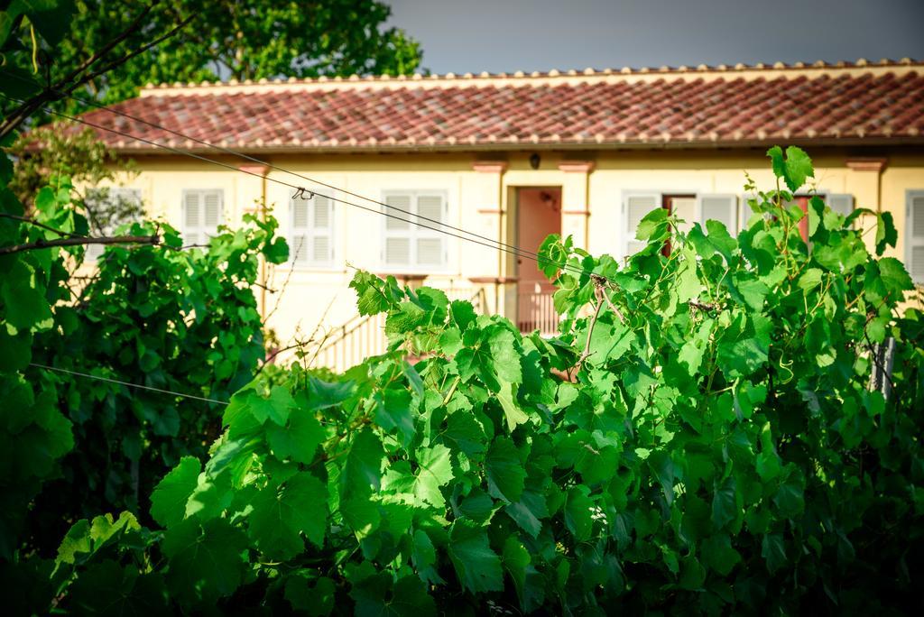 Tenuta Pizzogallo Amelia Exterior photo