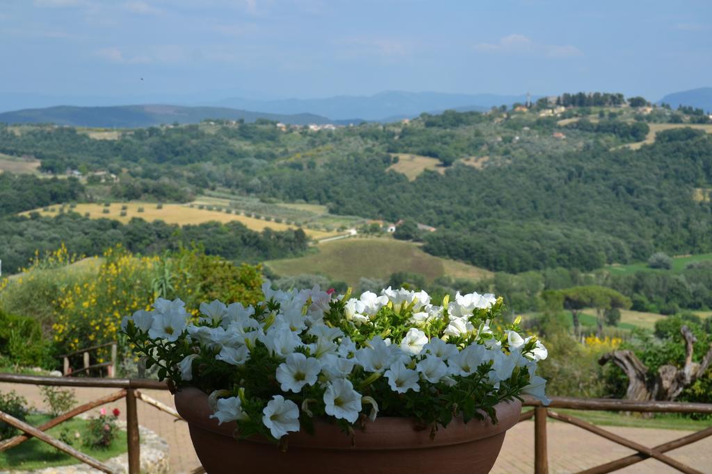 Tenuta Pizzogallo Amelia Exterior photo