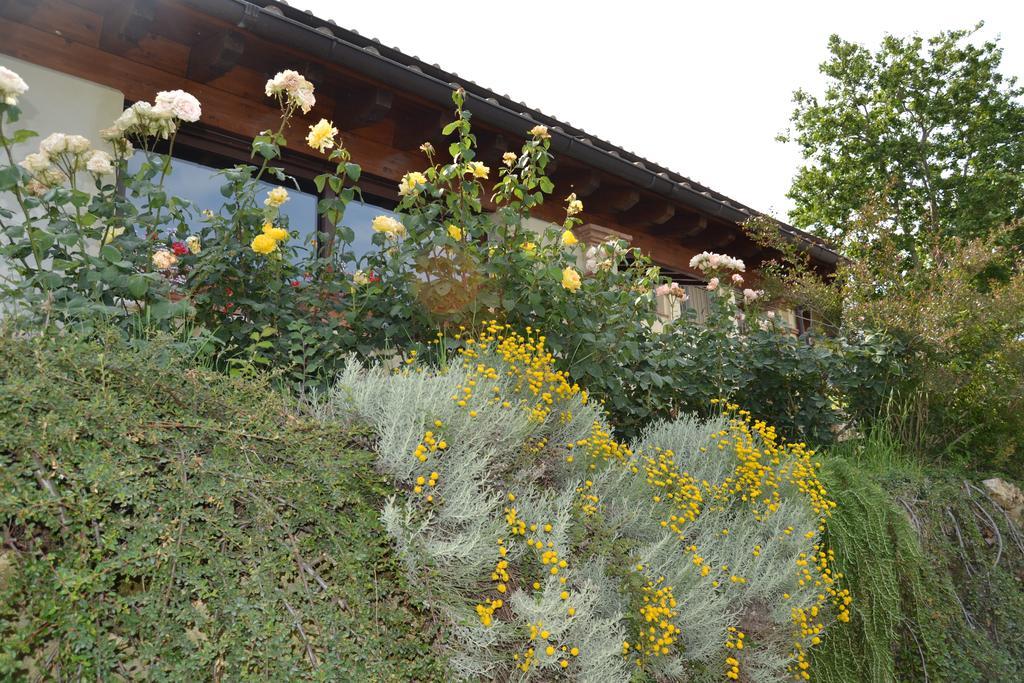 Tenuta Pizzogallo Amelia Exterior photo