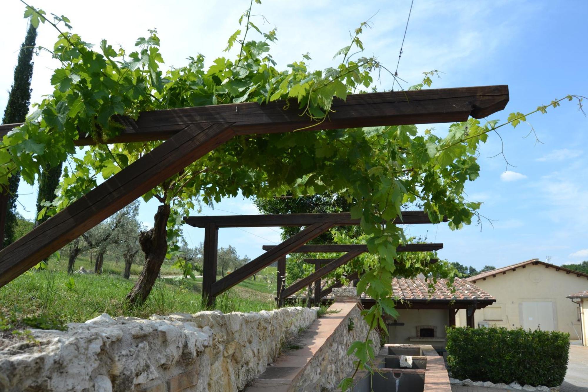 Tenuta Pizzogallo Amelia Exterior photo