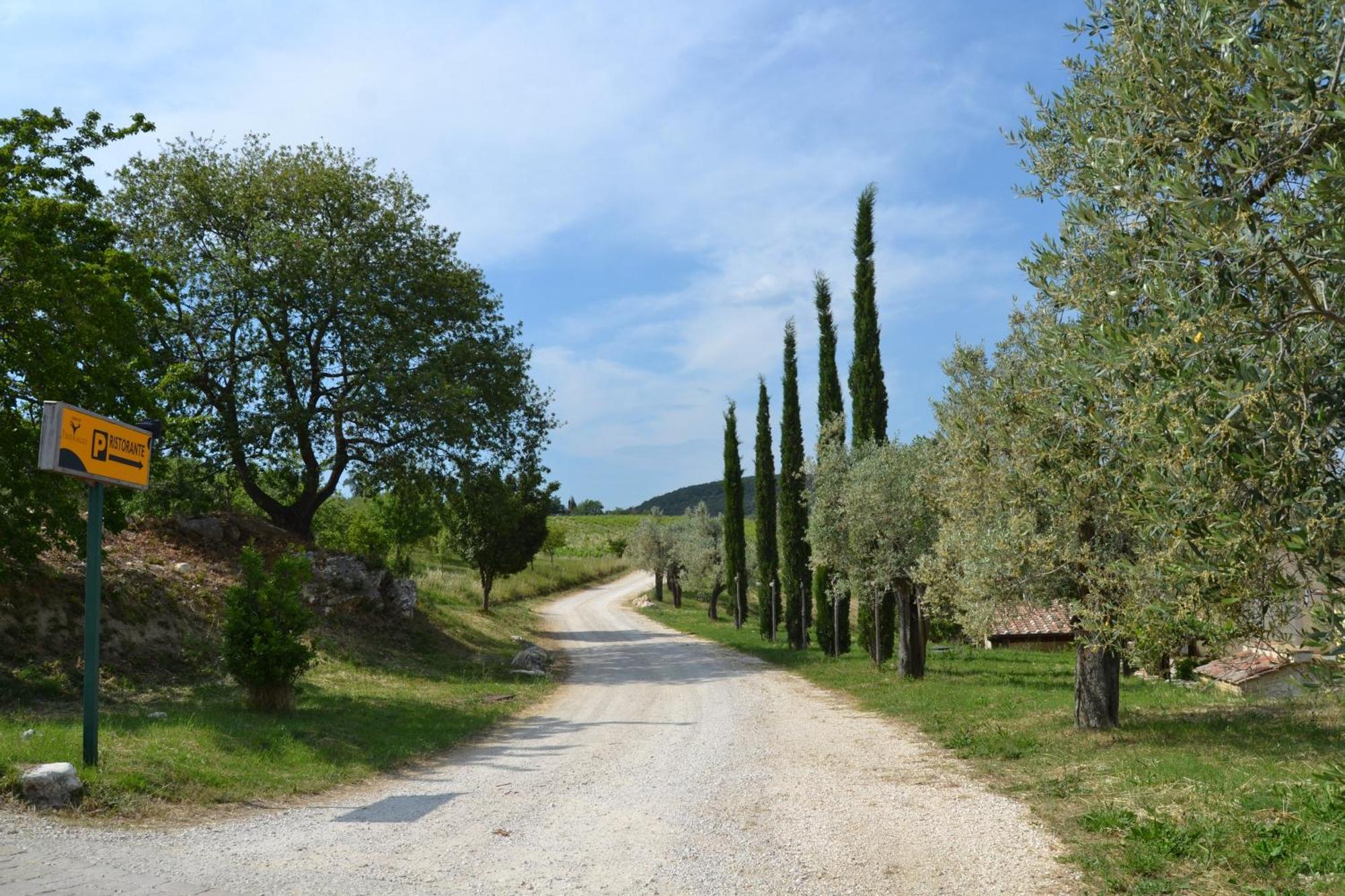 Tenuta Pizzogallo Amelia Exterior photo