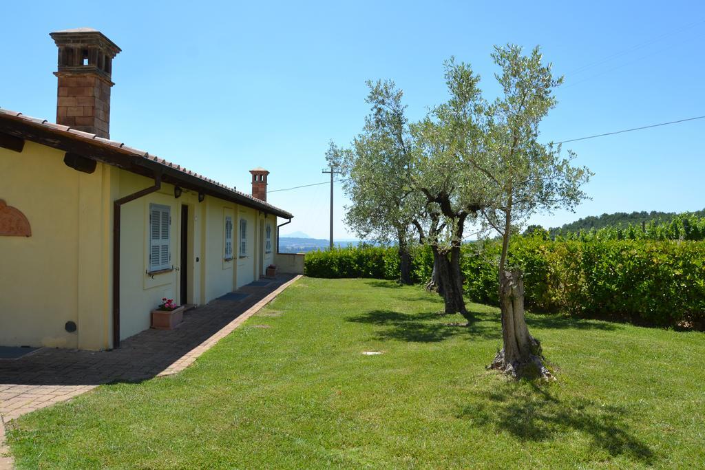 Tenuta Pizzogallo Amelia Exterior photo