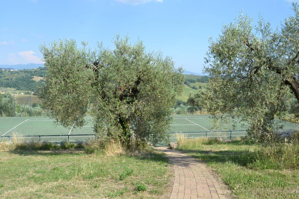 Tenuta Pizzogallo Amelia Exterior photo